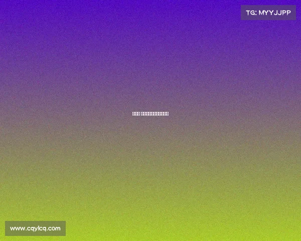 匹兹堡 体育赛事、匹兹堡职业赛